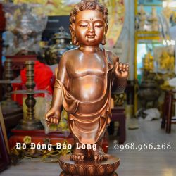 Tượng Đức Phật Thích Ca Đản Sinh Bằng Đồng Đỏ Cao 81Cm